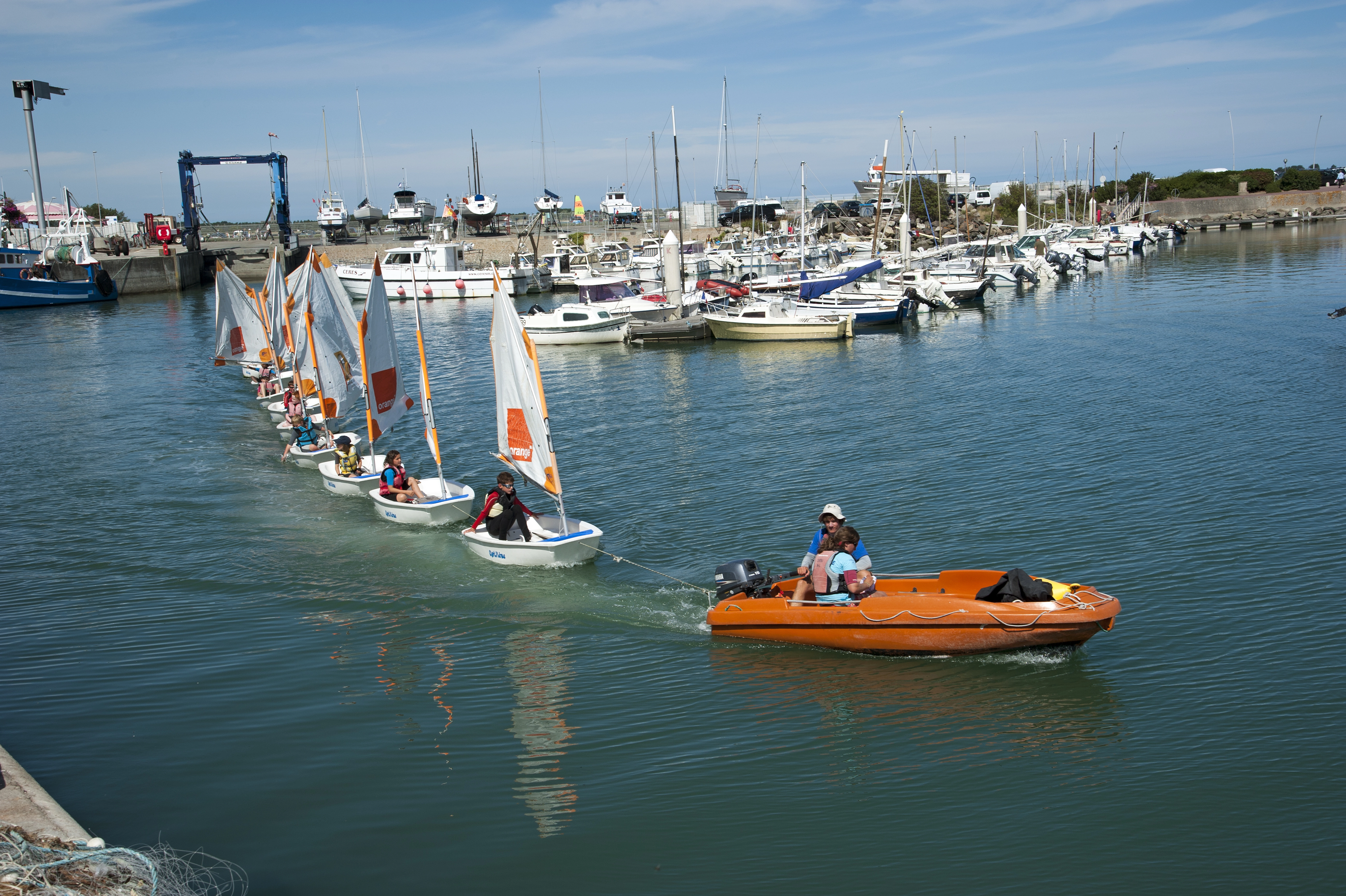 Optimists dans le port